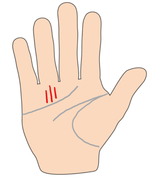 複数の収入源を持つ人の手相 ソロモン風水