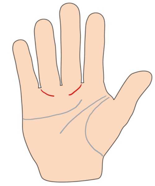 人付き合いが上手い人に表れやすい手相 ソロモン風水